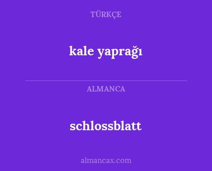 kale yaprağı - schlossblatt