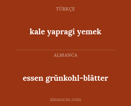 essen grünkohl-blätter - kale yapragi yemek