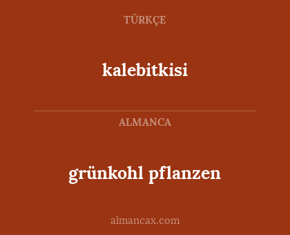 kalebitkisi - grünkohl pflanzen