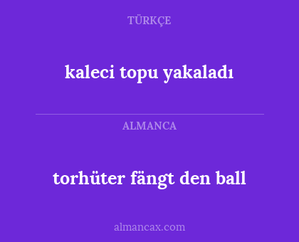 torhüter fängt den ball - kaleci topu yakaladı