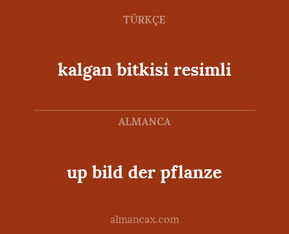 up bild der pflanze - kalgan bitkisi resimli