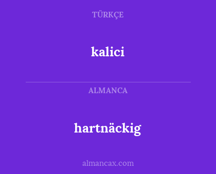 hartnäckig - kalici