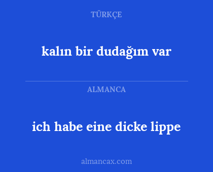 ich habe eine dicke lippe - kalın bir dudağım var