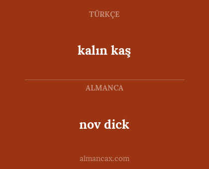 kalın kaş - nov dick