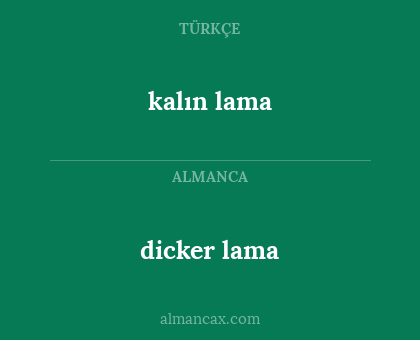 dicker lama - kalın lama
