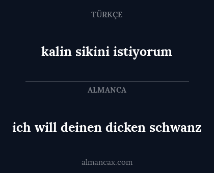 kalin sikini istiyorum - ich will deinen dicken schwanz