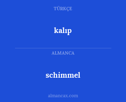 schimmel - kalıp