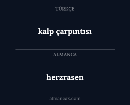 herzrasen - kalp çarpıntısı