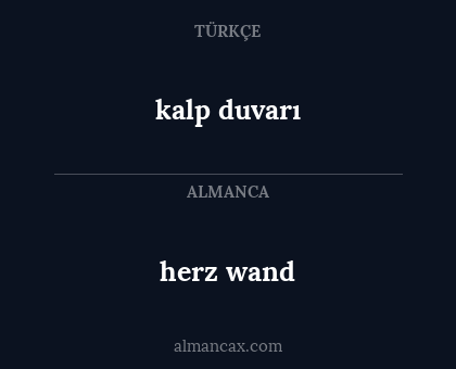 herz wand - kalp duvarı