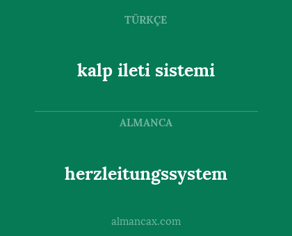herzleitungssystem - kalp ileti sistemi