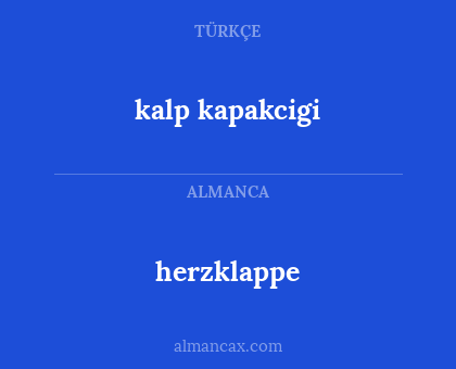 kalp kapakcigi - herzklappe