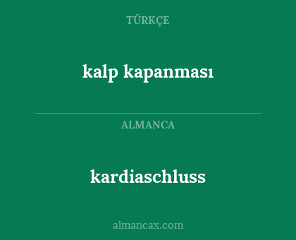kalp kapanması - kardiaschluss