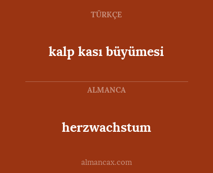 kalp kası büyümesi - herzwachstum