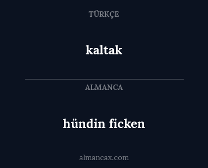 hündin ficken - kaltak
