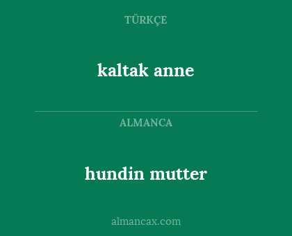hundin mutter - kaltak anne
