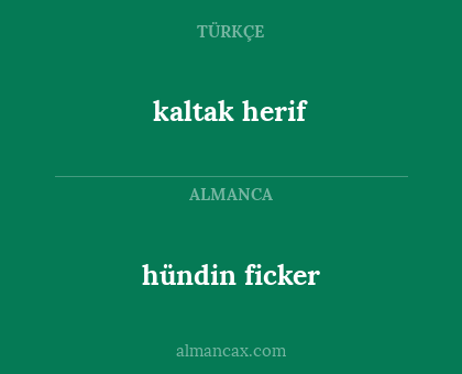 hündin ficker - kaltak herif