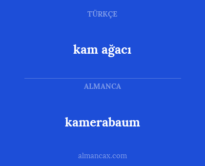 kam ağacı - kamerabaum