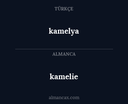 kamelie - kamelya