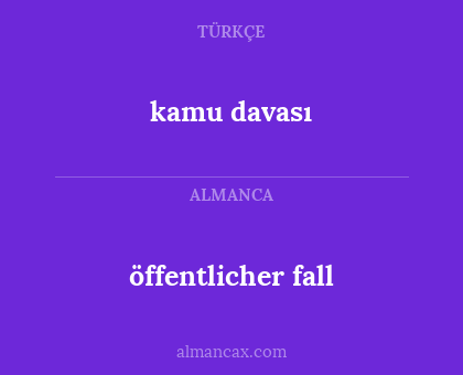 öffentlicher fall - kamu davası