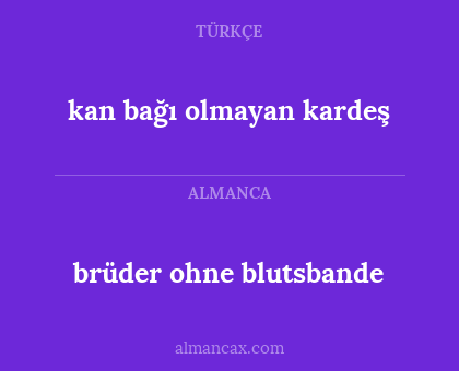 kan bağı olmayan kardeş - brüder ohne blutsbande
