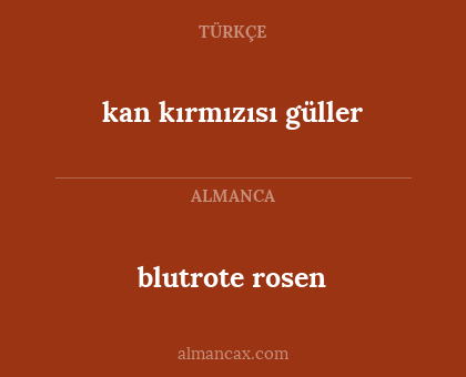 kan kırmızısı güller - blutrote rosen