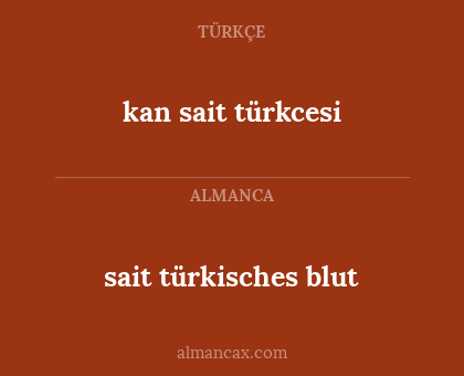 kan sait türkcesi - sait türkisches blut