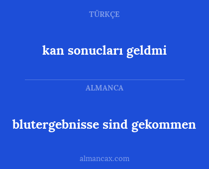 kan sonucları geldmi - blutergebnisse sind gekommen