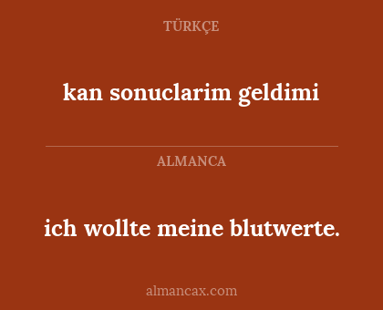 kan sonuclarim geldimi - ich wollte meine blutwerte.
