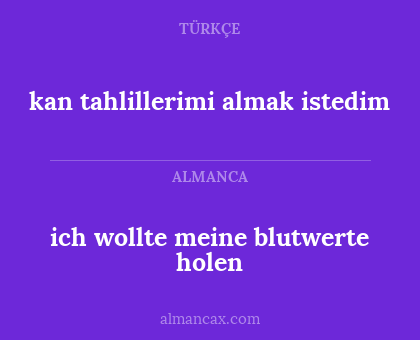 ich wollte meine blutwerte holen - kan tahlillerimi almak istedim