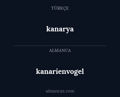 kanarya - kanarienvogel
