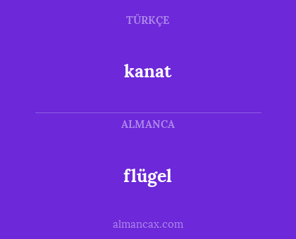 flügel - kanat