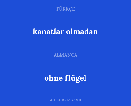 kanatlar olmadan - ohne flügel