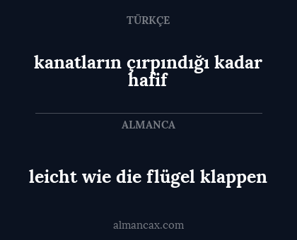 leicht wie die flügel klappen - kanatların çırpındığı kadar hafif
