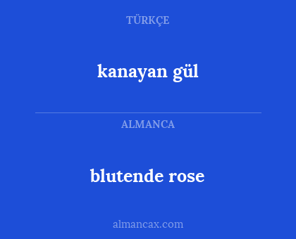 blutende rose - kanayan gül