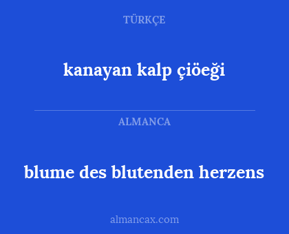 kanayan kalp çiöeği - blume des blutenden herzens