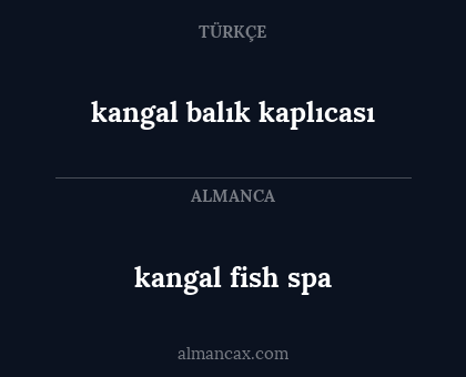 kangal fish spa - kangal balık kaplıcası