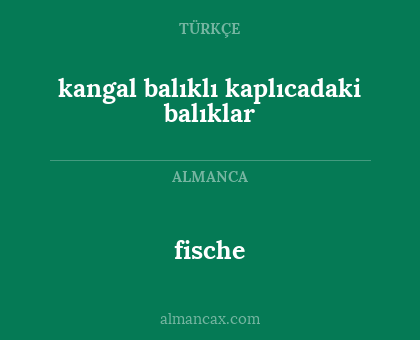 fische - kangal balıklı kaplıcadaki balıklar