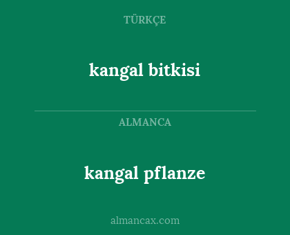 kangal bitkisi - kangal pflanze