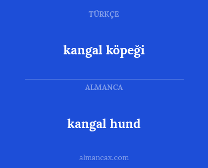 kangal köpeği - kangal hund