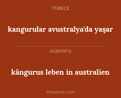 kängurus leben in australien - kangurular avustralya'da yaşar
