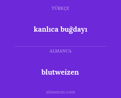 blutweizen - kanlıca buğdayı