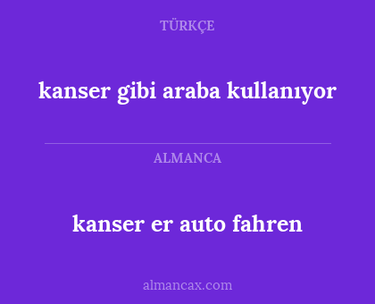 kanser gibi araba kullanıyor - kanser er auto fahren