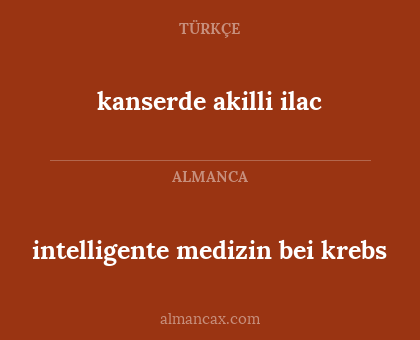 intelligente medizin bei krebs - kanserde akilli ilac