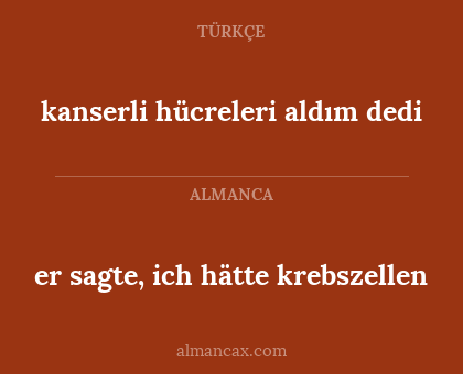 er sagte, ich hätte krebszellen - kanserli hücreleri aldım dedi