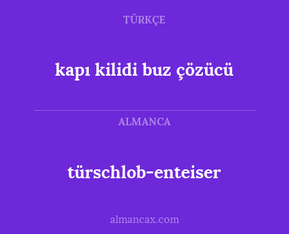 kapı kilidi buz çözücü - türschlob-enteiser