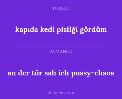kapıda kedi pisliği gördüm - an der tür sah ich pussy-chaos