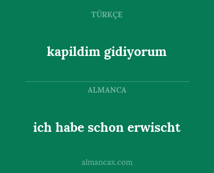 kapildim gidiyorum - ich habe schon erwischt