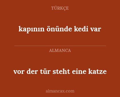 vor der tür steht eine katze - kapının önünde kedi var