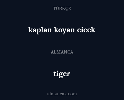 tiger - kaplan koyan cicek