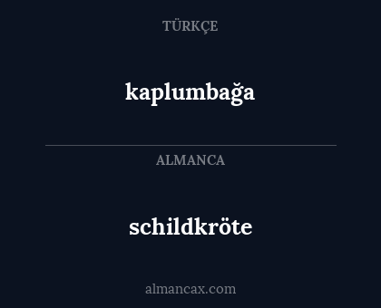 schildkröte - kaplumbağa